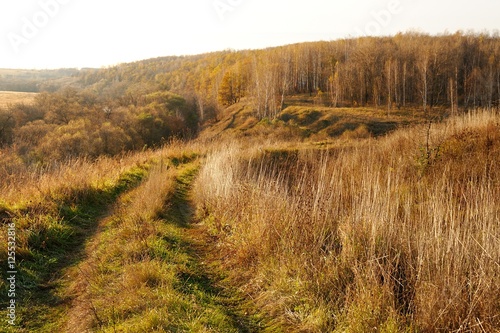 Road turn in aitumn countryside