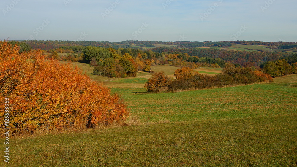 Fototapeta premium bunte herbstliche Landschaft in der Sonne