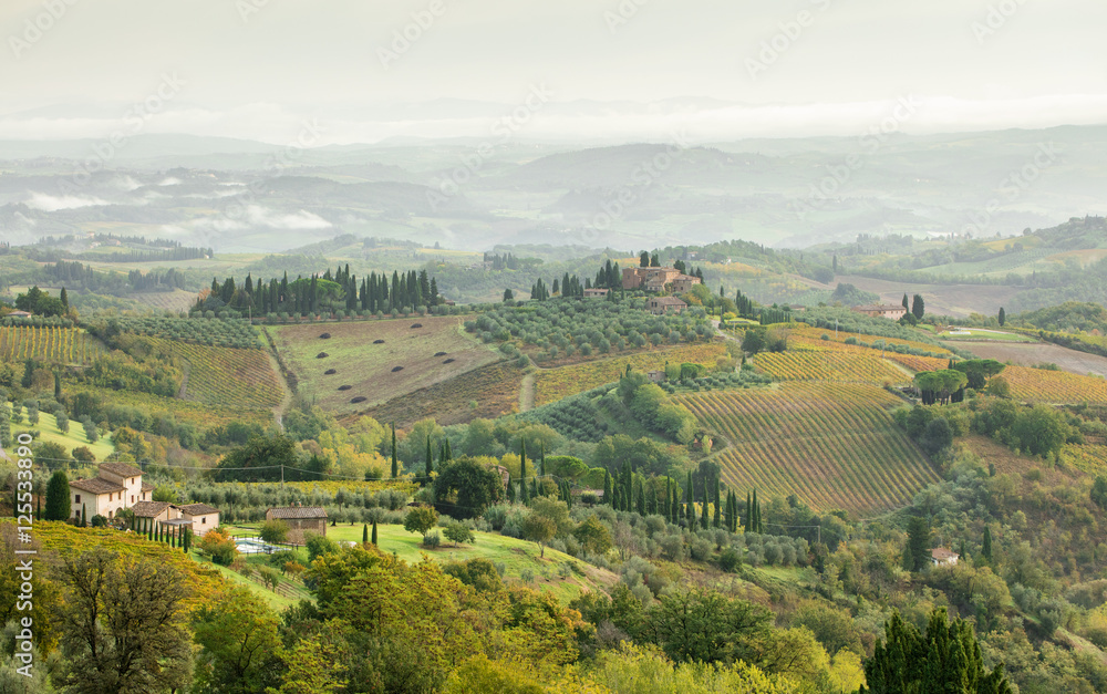 panoramic view to valley with vineyards in Tuscany in Italy