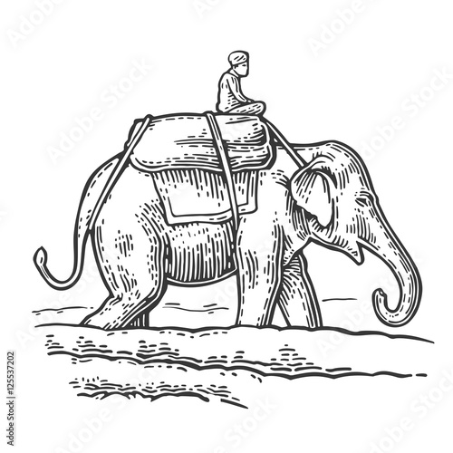 Rider on elephant. Vector engraved vintage