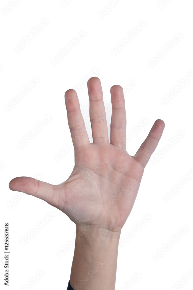 Human palm and five fingers up. Isolate Human palm and five fingers up. Isolate