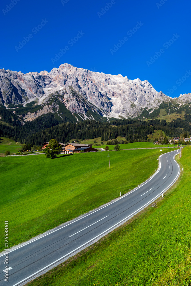 Alpine countryside road in green fields