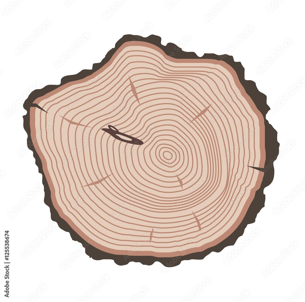 Tree slices vector isolated Tree slices vector isolated