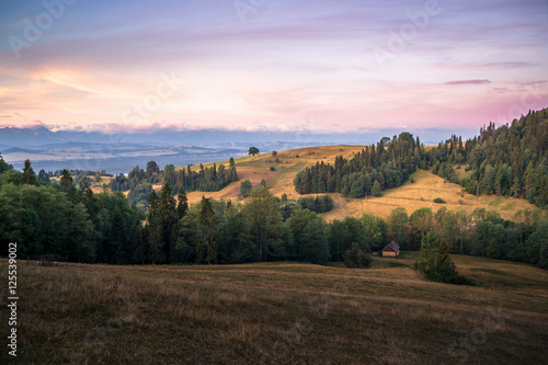 Gorce, beskidzkie widoki. Widok na Podhale i Tatry z pasma Gorców. 