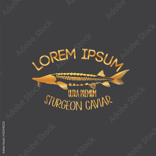 Caviar Concept Designs