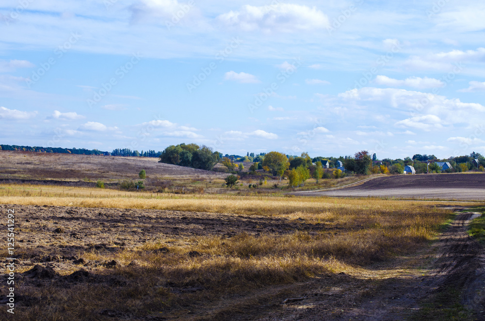 Obraz premium Field after harvest