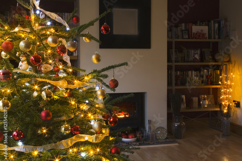 Illuminated Christmas tree in  the living room