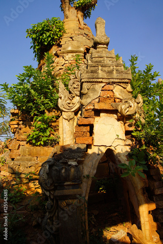 Vegetation reclaims ancient  Buddhist stupas photo