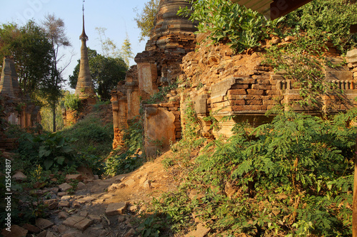 Vegetation reclaims ancient  Buddhist stupas photo