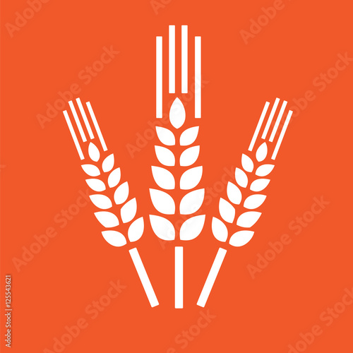 Farm Concept Design with Wheat