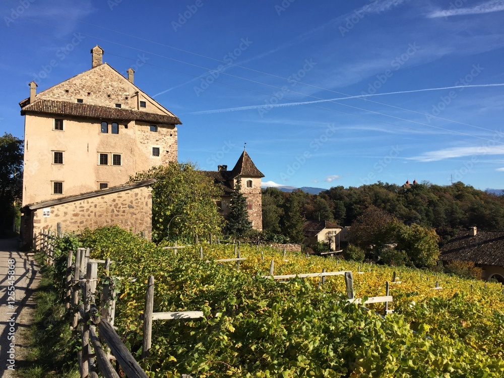 castello castelli vigne vigneti cantine costruzione storica Alto Adige 