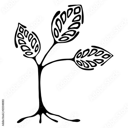 Vector hand drawn illustration, decorative ornamental stylized tree. Black and white graphic illustration isolated on the white background. Inc drawing silhouette. Decorative artistic ornamental wood