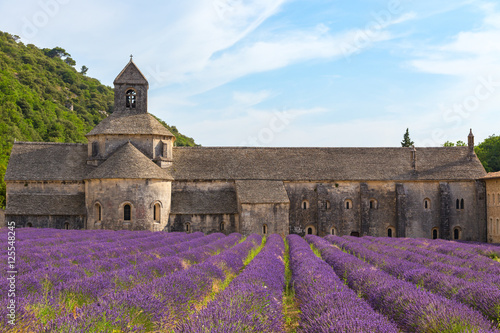 An ancient monastery Abbaye Notre-Dame de Senanque