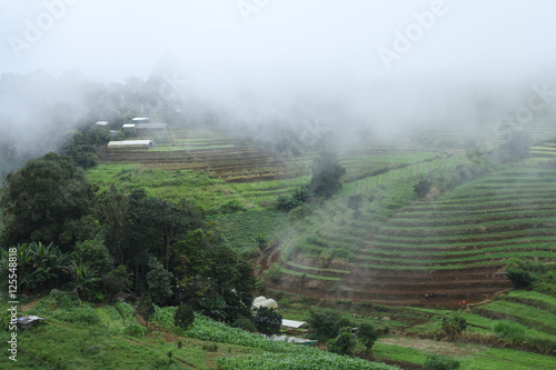 Agricultural terrace and foggy at Mae Jam in Chiang Mai, Thailand. © apisitwilaijit29