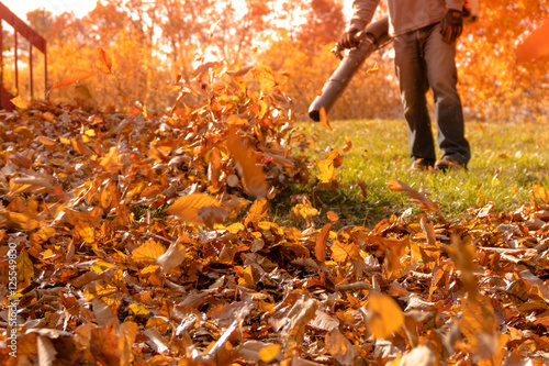 A section of yard is cleared from a large pile of fallen leaves