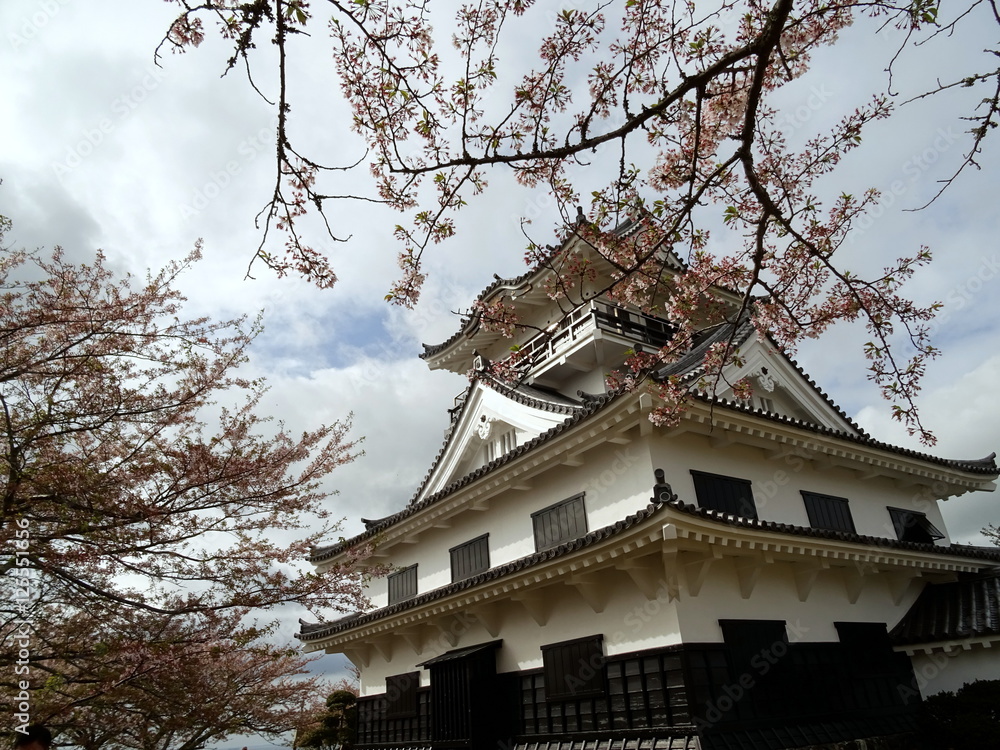 館山城 館山城
