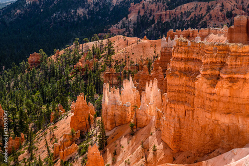 Some rock formations in Bryce Canyon