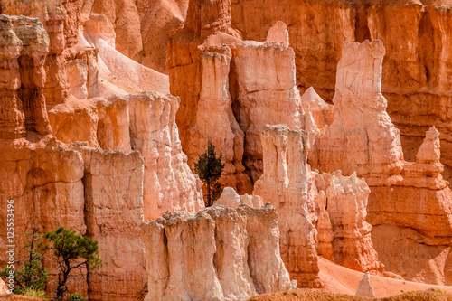 A closer look at some Bryce Canyon formations