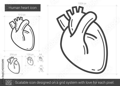 Human heart line icon.