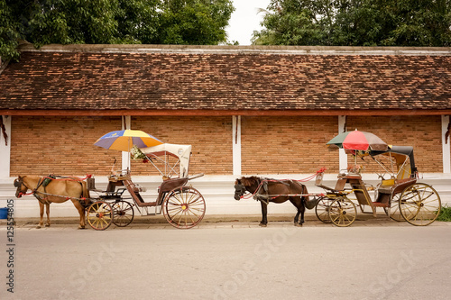 horse fairy tale carriage cabin photo