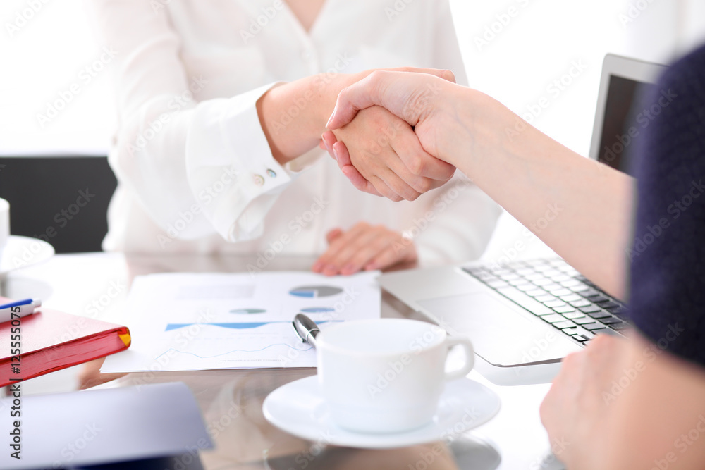 Business handshake. Two women are shaking hands after meeting or negotiation. Business handshake. Two women are shaking hands after meeting or negotiation.