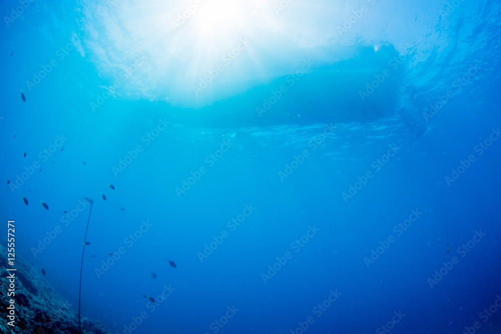 Rays of sunlight shining into sea, underwater view
