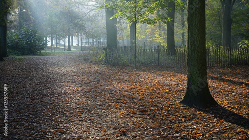 Morning in a park in Antwerp