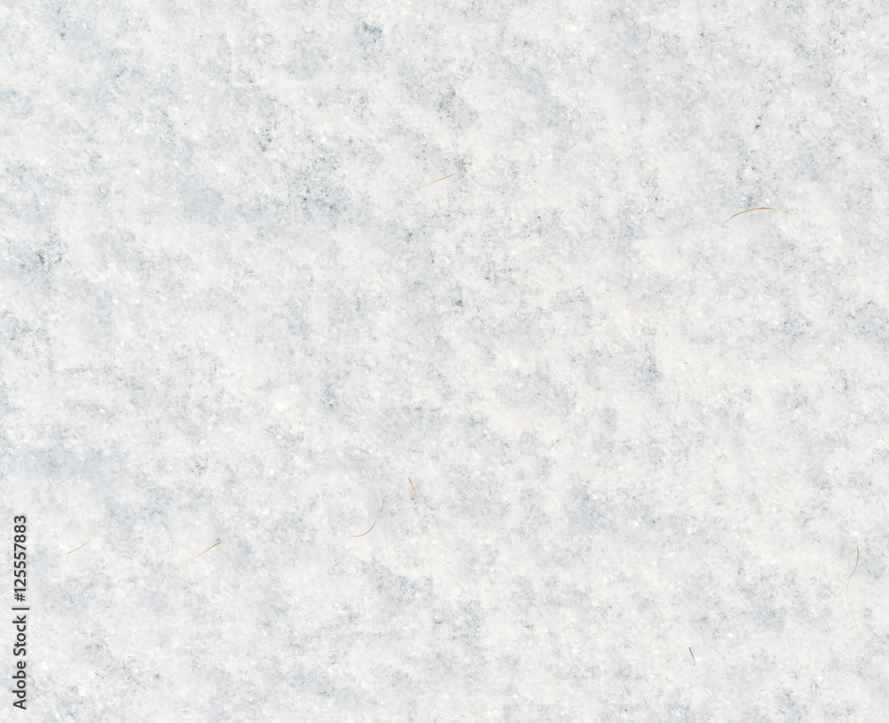 fresh snow fresh snow