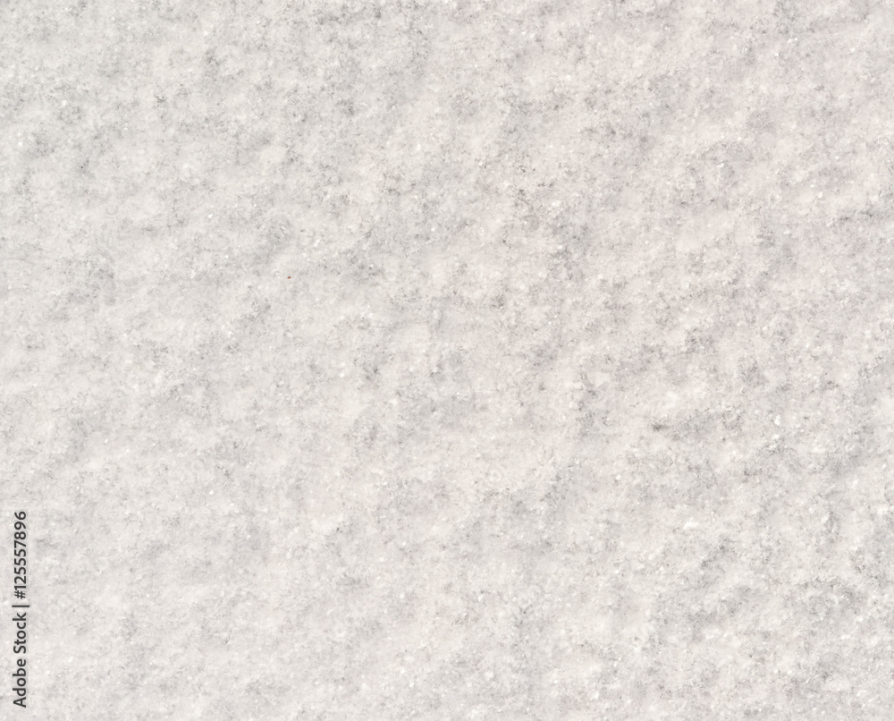 Fototapeta premium fresh snow