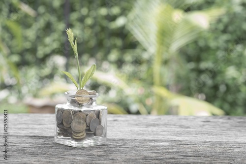 Plant growing in saving coins and money coins in the bottle on w