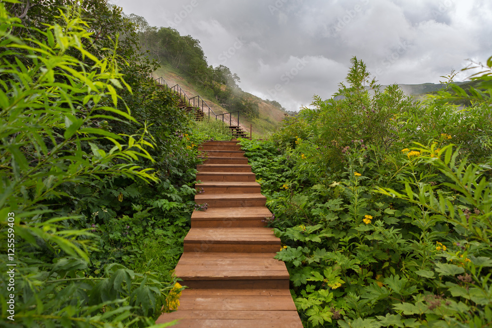 Obraz premium Wood trail in Valley of Geysers.