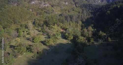 Aerial, Mountainous Forest, Autumn, Montenegro photo