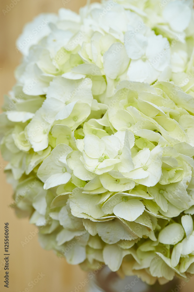Flower bouquet Flower bouquet