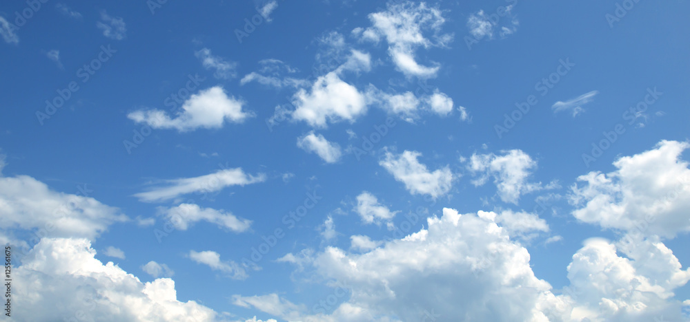 Fototapeta premium blue sky