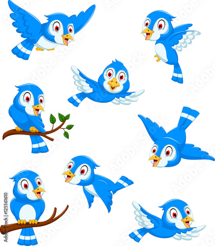 set of blue bird cartoon posing