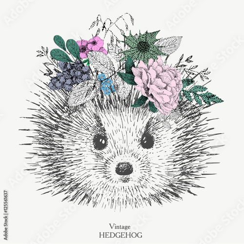 cute hedgehog with a wreath on her head of flowers
