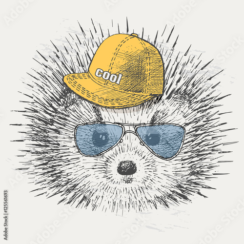 cute hedgehog in the hat and sunglasses