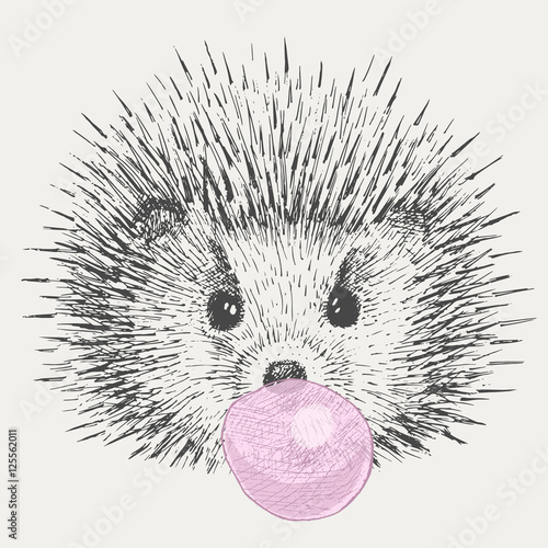 cute hedgehog puffed out chewing gum
