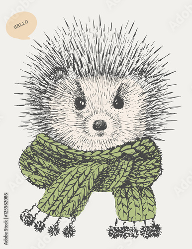 cute hedgehog with scarf