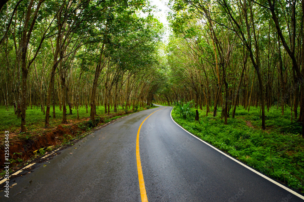 Road Road