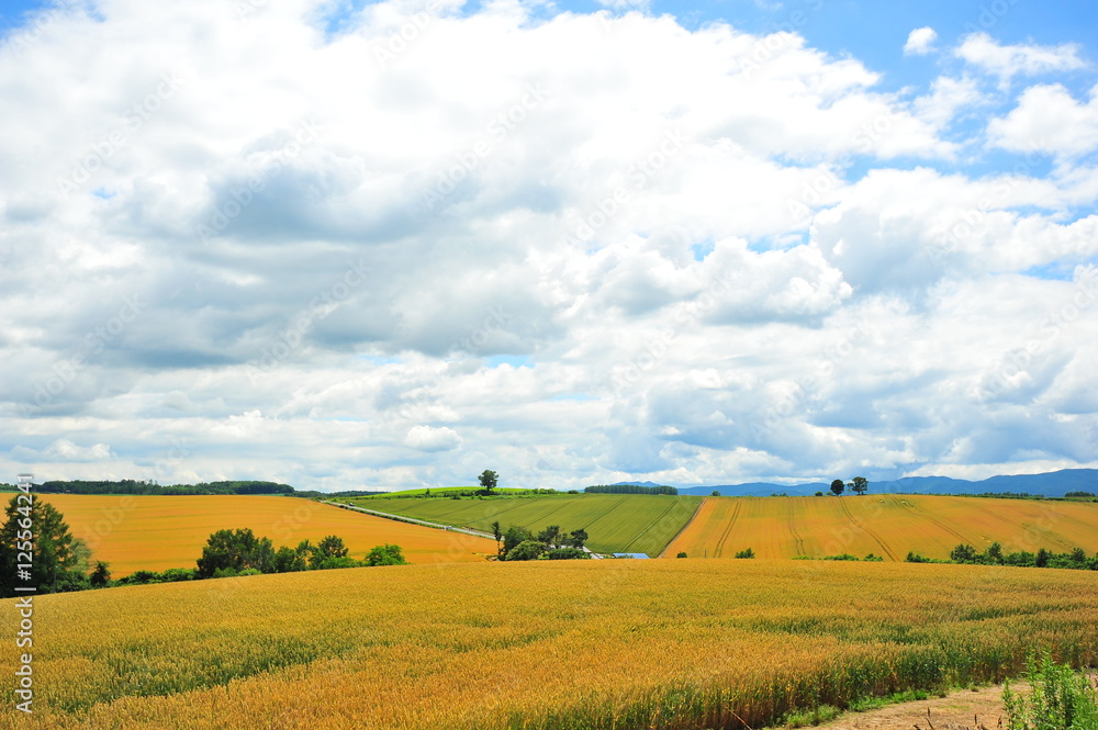 Countryside Landscape of Japan Countryside Landscape of Japan