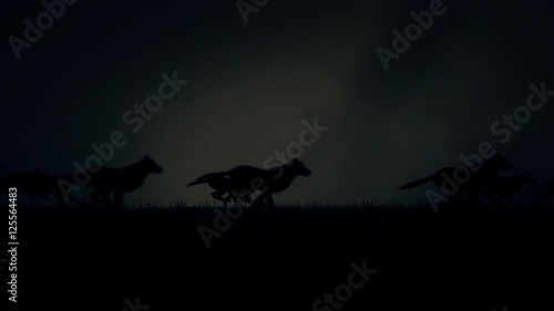 A Large Pack of Wolves Running on a Dark Stormy Night photo