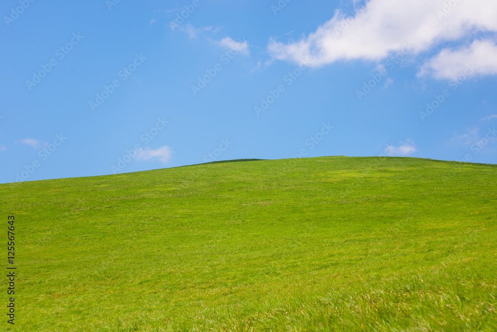 idyllic landscape of green heels, blue sky in Carpathian mountains