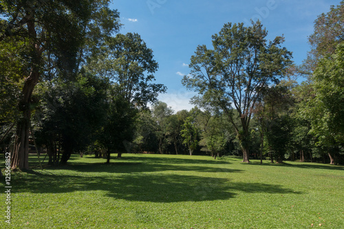 Green park with blue sky