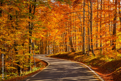 Autumn road - enhanced colors