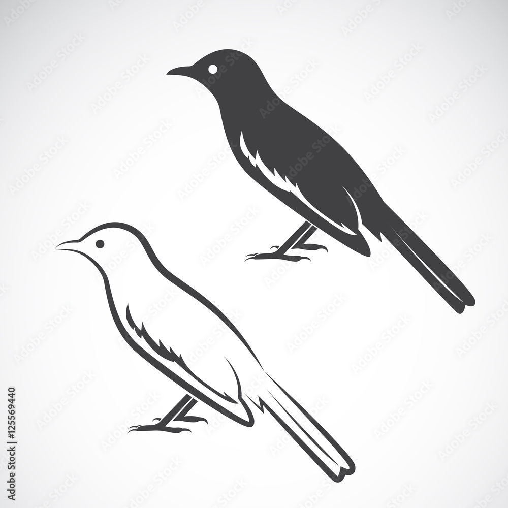 Fototapeta premium Vector of magpie design on white background. Bird Icon.