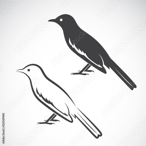 Vector of magpie design on white background. Bird Icon. © yod67