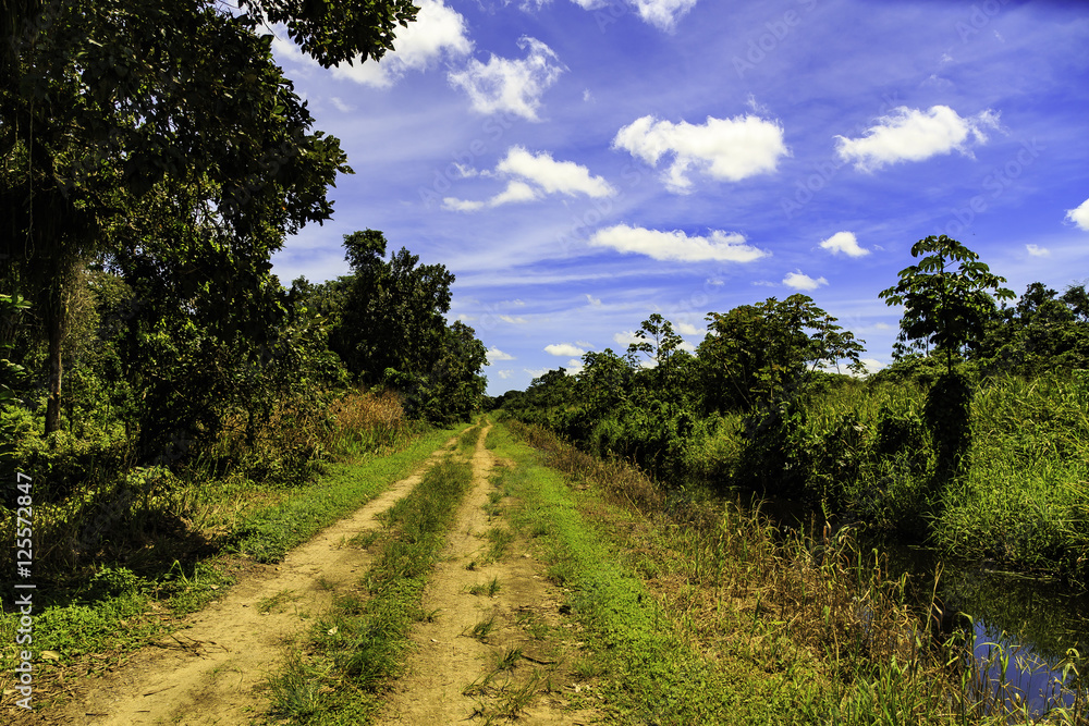 Plantation Katwijk in Surinam