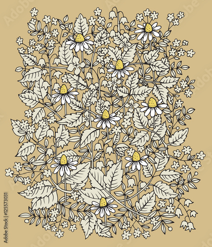 Hand drawn flowers on white background