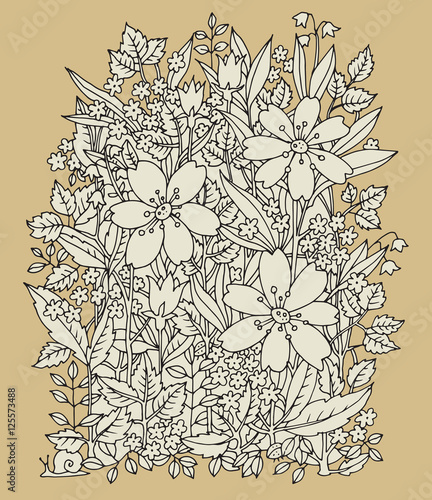 Hand drawn flowers on white background